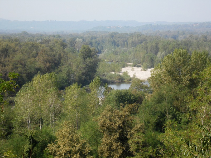 Parco del Ticino : Autunno